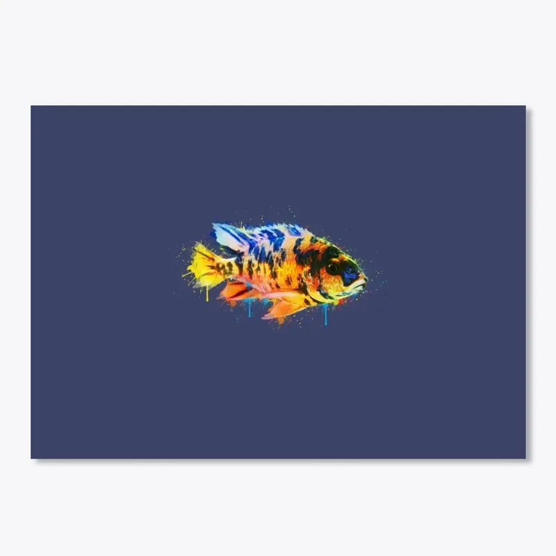 Colorful Fish - African Cichlid